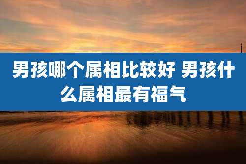 男孩哪个属相比较好 男孩什么属相最有福气