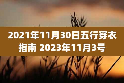 2021年11月30日五行穿衣指南 2023年11月3号