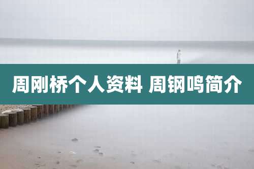 周刚桥个人资料 周钢鸣简介