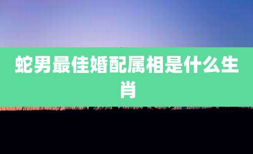 蛇男最佳婚配属相是什么生肖