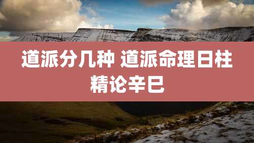 道派分几种 道派命理日柱精论辛巳