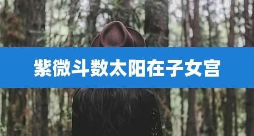 紫微斗数太阳在子女宫