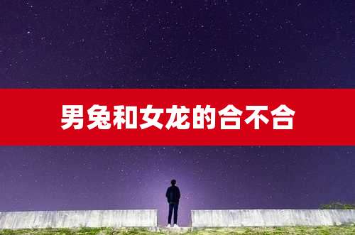 男兔和女龙的合不合