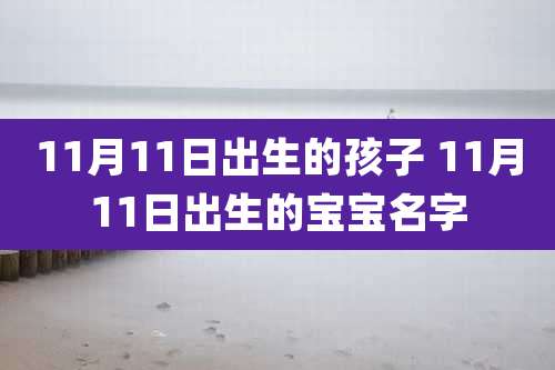 11月11日出生的孩子 11月11日出生的宝宝名字