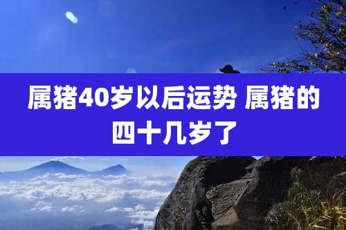 属猪40岁以后运势 属猪的四十几岁了