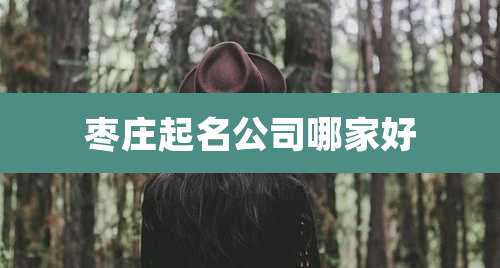 枣庄起名公司哪家好