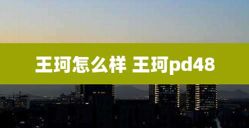 王珂怎么样 王珂pd48