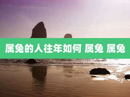 属兔的人往年如何 属兔 属兔