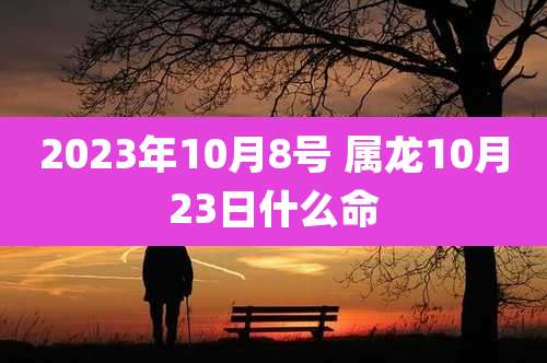 2023年10月8号 属龙10月23日什么命