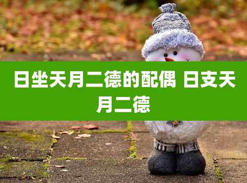 日坐天月二德的配偶 日支天月二德