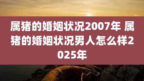 属猪的婚姻状况2007年 属猪的婚姻状况男人怎么样2025年