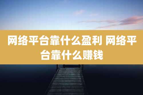 网络平台靠什么盈利 网络平台靠什么赚钱