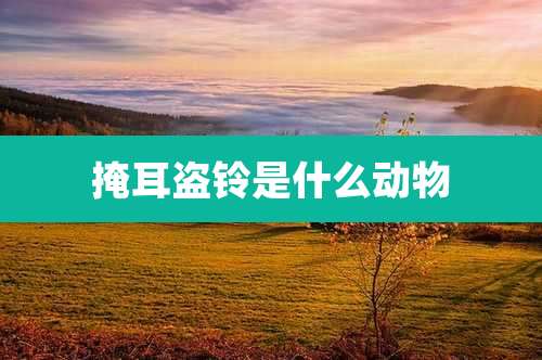 掩耳盗铃是什么动物