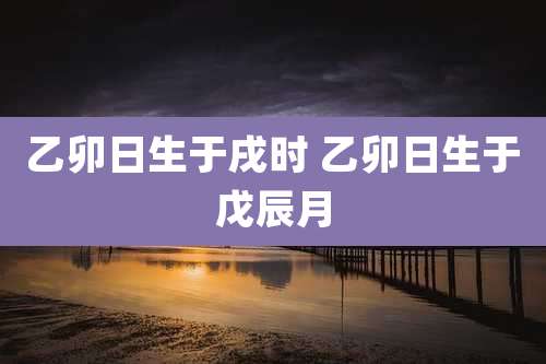 乙卯日生于戌时 乙卯日生于戊辰月
