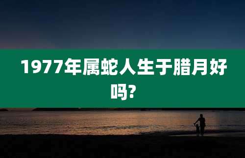 1977年属蛇人生于腊月好吗?