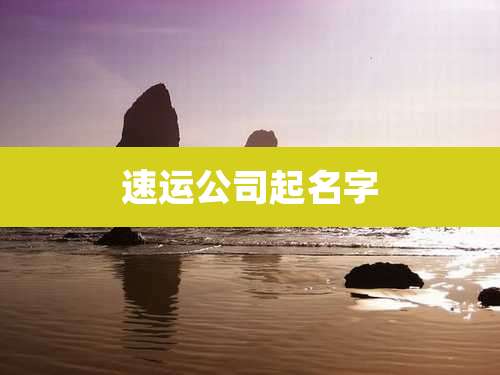 速运公司起名字