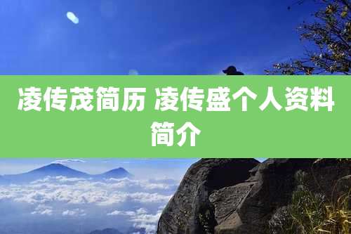 凌传茂简历 凌传盛个人资料简介