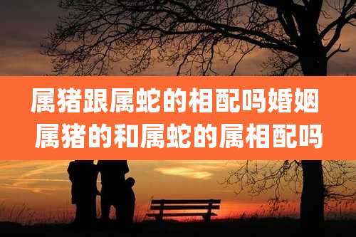 属猪跟属蛇的相配吗婚姻 属猪的和属蛇的属相配吗