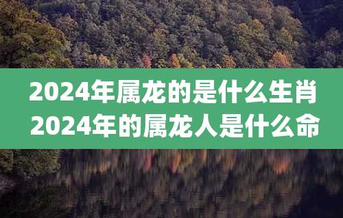 2024年属龙的是什么生肖 2024年的属龙人是什么命