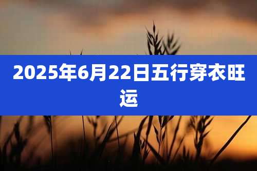 2025年6月22日五行穿衣旺运