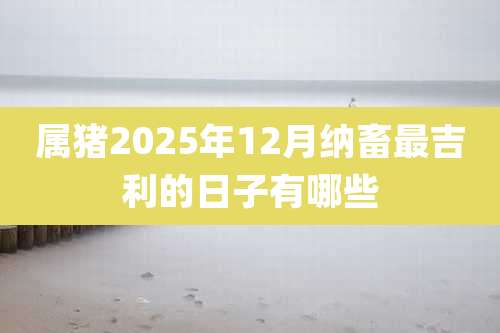 属猪2025年12月纳畜最吉利的日子有哪些