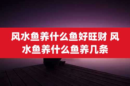 风水鱼养什么鱼好旺财 风水鱼养什么鱼养几条