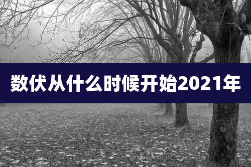 数伏从什么时候开始2021年