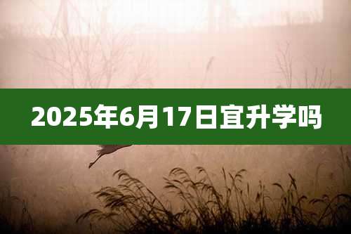 2025年6月17日宜升学吗