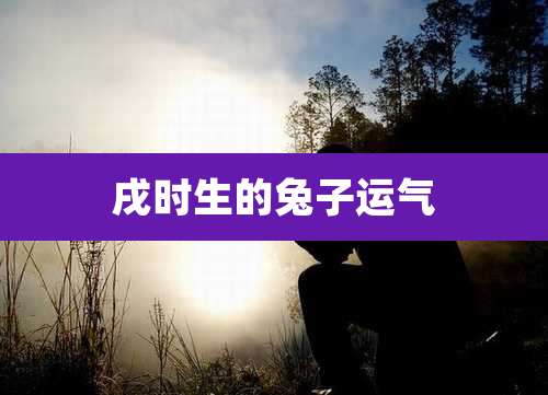 戌时生的兔子运气