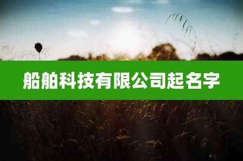 船舶科技有限公司起名字