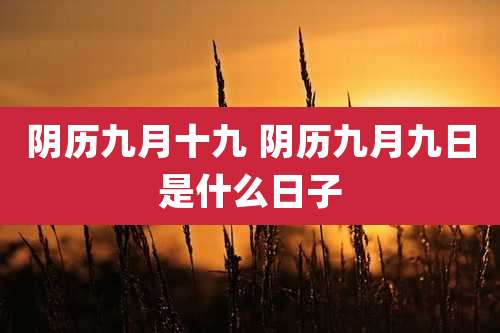 阴历九月十九 阴历九月九日是什么日子