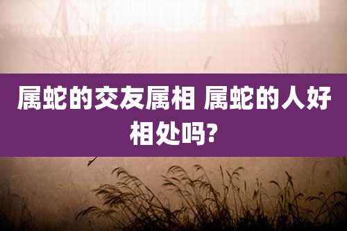 属蛇的交友属相 属蛇的人好相处吗?