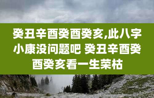 癸丑辛酉癸酉癸亥,此八字小康没问题吧 癸丑辛酉癸酉癸亥看一生荣枯