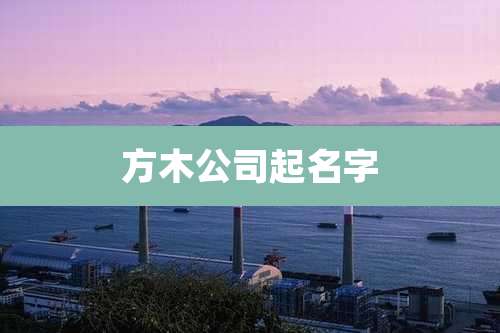 方木公司起名字