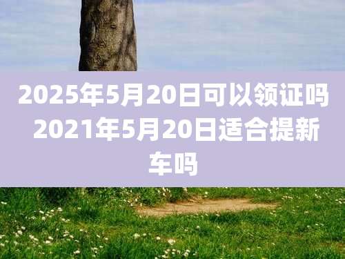 2025年5月20日可以领证吗 2021年5月20日适合提新车吗