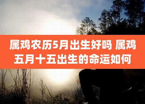 属鸡农历5月出生好吗 属鸡五月十五出生的命运如何