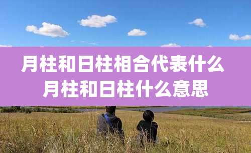 月柱和日柱相合代表什么 月柱和日柱什么意思