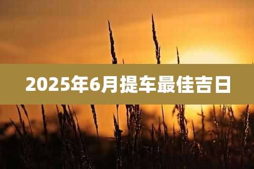 2025年6月提车最佳吉日