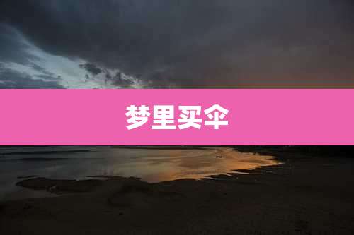 梦里买伞