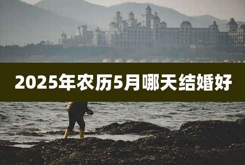 2025年农历5月哪天结婚好