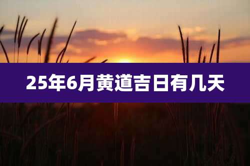 25年6月黄道吉日有几天