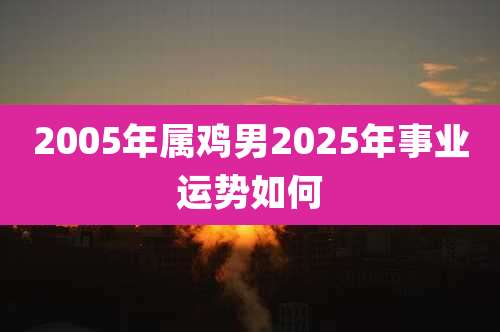 2005年属鸡男2025年事业运势如何