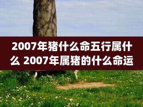 2007年猪什么命五行属什么 2007年属猪的什么命运