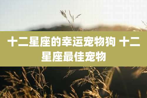 十二星座的幸运宠物狗 十二星座最佳宠物