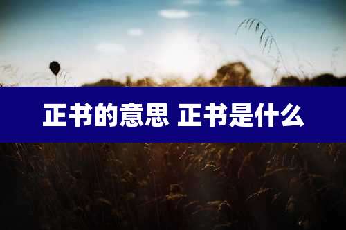 正书的意思 正书是什么