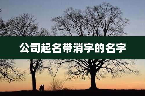 公司起名带消字的名字