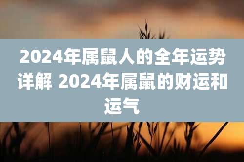 2024年属鼠人的全年运势详解 2024年属鼠的财运和运气