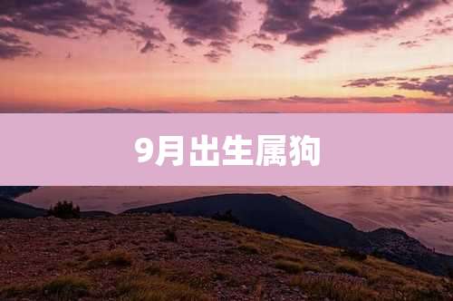 9月出生属狗