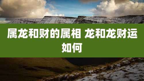 属龙和财的属相 龙和龙财运如何