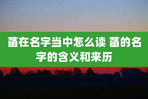 菡在名字当中怎么读 菡的名字的含义和来历